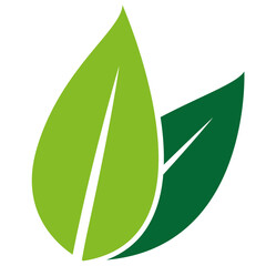 Green leaf isolated vector logo, green leaf with shadow icon
