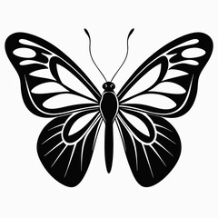 Black and white butterfly tattoo design with floral elements and vintage pattern