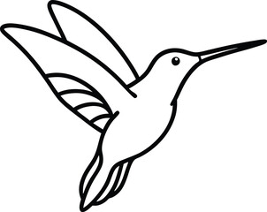 Africa answer to hummingbirds iridescent vector art.