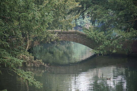 foggy day, bridge, saffron walden, audley end house, uk, march 2025, sony a6000, photography, nature, landscape, architecture, gardens, 