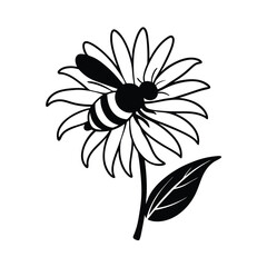 black and white daisy