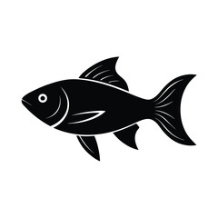 fish on a white background