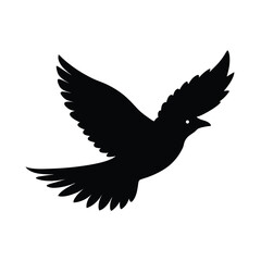 dove in flight