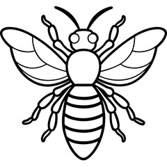Elegant Bee Vector in One Line Art