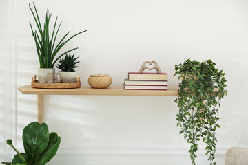 Different houseplants and decor on shelf indoors