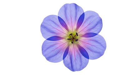 Lavender Bloom Symmetry AI Generated