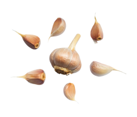 collection of garlic bulbs isolated on white