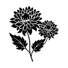 black and white flowers