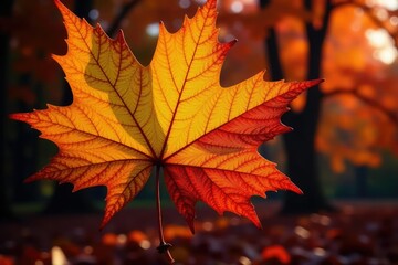 Fototapeta premium A late-season autumn leaf pattern showing decaying detail , wallpaper, design