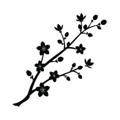 black and white background