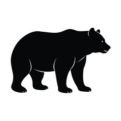 vector illustration of a bear