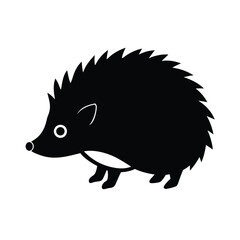 hedgehog on a white background