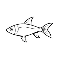 rasbora fish vector line art illustration
