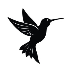 hummingbird vector illustration