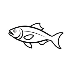 trout fish vector line art illustration