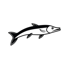 pike fish vector line art illustration