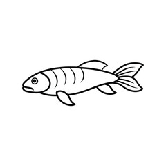 loach fish vector line art illustration