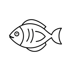 Obraz premium scrawled file fish vector line art illustration