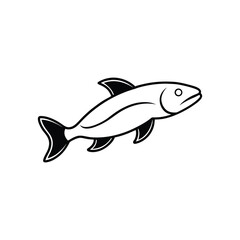 arapaima fish vector line art illustration
