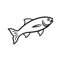 steelhead fish vector line art illustration