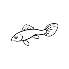 bristle nose pleco fish vector line art illustration
