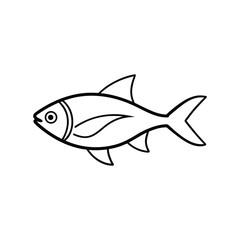 cardinal tetra fish vector line art illustration