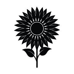 sunflower vector illustration