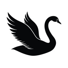 black swan vector illustration