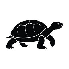 turtle vector illustration