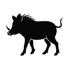 silhouette of a wild boar
