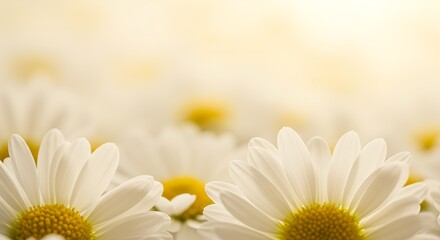 Obraz premium Golden Hour Daisies AI Generated