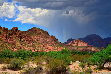 Fototapeta premium Generative AI Salt River Recreation Area Arizona