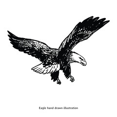 Hand Drawn Eagle Vector Illustration. Black and White Flying Bird Drawing