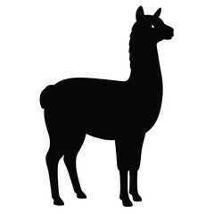 Fototapeta premium llama cartoon illustration vector design, Stylish llama silhouette set for creative artistic purposes, Llama illustration, minimalist llama vector, alpaca silhouette vector illustration.