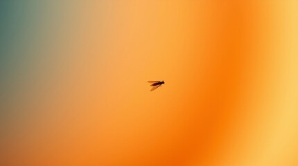 Fototapeta premium Fly in a Gradient Orange Sky