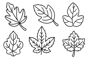 Fig Leaf Line Art Creative Illustration for Modern Artwork Design 