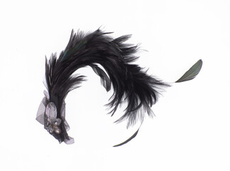 black feathers for hat isolated on white background