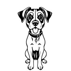 Fototapeta premium Cute Dog Portrait: Adorable black and white dog with a charming expression. Its joyful face and expressive eyes captivate with an immediate connection. Captivating and detailed.