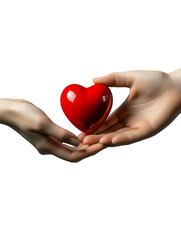 Obraz premium A red heart is being held between two hands