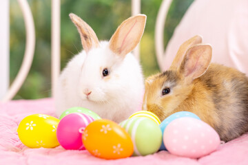 Bunny easter fluffy rabbit eating food, vegetables, carrots, baby corn on green garden nature flowers background on sunny day, Lovely mammal with bright eyes in nature life. Symbol of easter day.