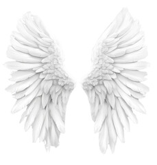 Obraz premium The wings of a white angel are shown in detail
