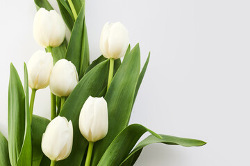 White Tulips. A bouquet of elegant white tulips with lush green leaves