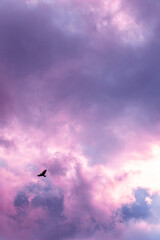 Fairy colourful sunset sky. Amazing view. Purple lilac clouds