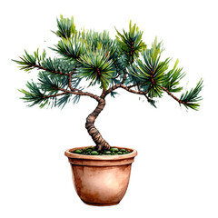 Naklejka premium a watercolor painting of a bonsai tree with lush green needles displayed in a terracotta pot.