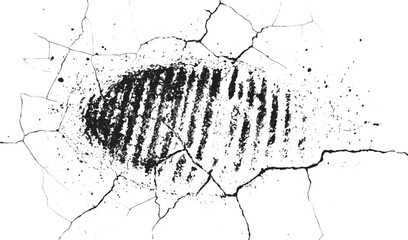 White background on Vector style white and black fingerprint texture design. Vector black fingerprint on white Transparent