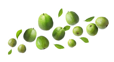 Fresh guava fruits and leaves flying on white background