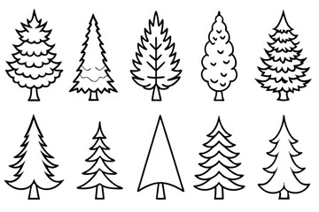 Evergreen Trees Line Art Artistic Representation for Nature Drawing 