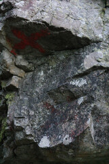 rock large texture pattern natural environment life concept background wildlife	
high resolution wallpaper background