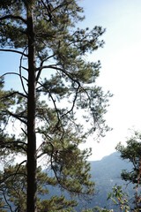 High-Quality Background of Scenic Mountain View at Mon Long, Chiang Mai, Thailand &ndash; Nature Landscape for Travel and Wallpaper Use