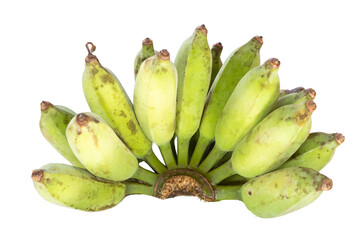 A bunch of unripe, green bananas still attached to the stem, isolated on a transparent background.